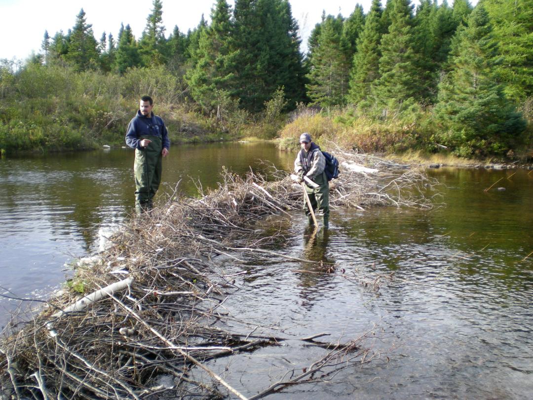 Miawpukek First Nation - Post Secondary Programs